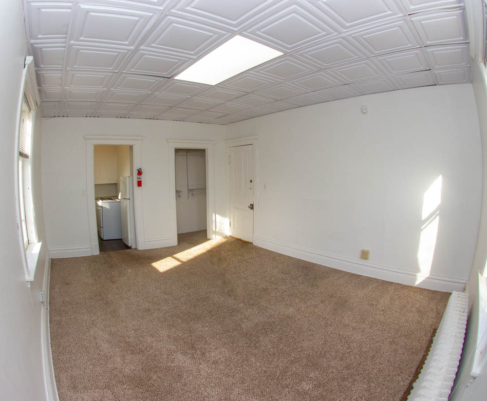 312 Unit 8 living area with carpet, bright windows, and doorway to the kitchen